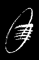 Gaudeamus Logo